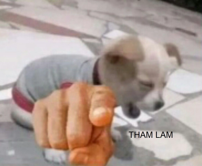 Meme tham lam lầy lội khó đỡ