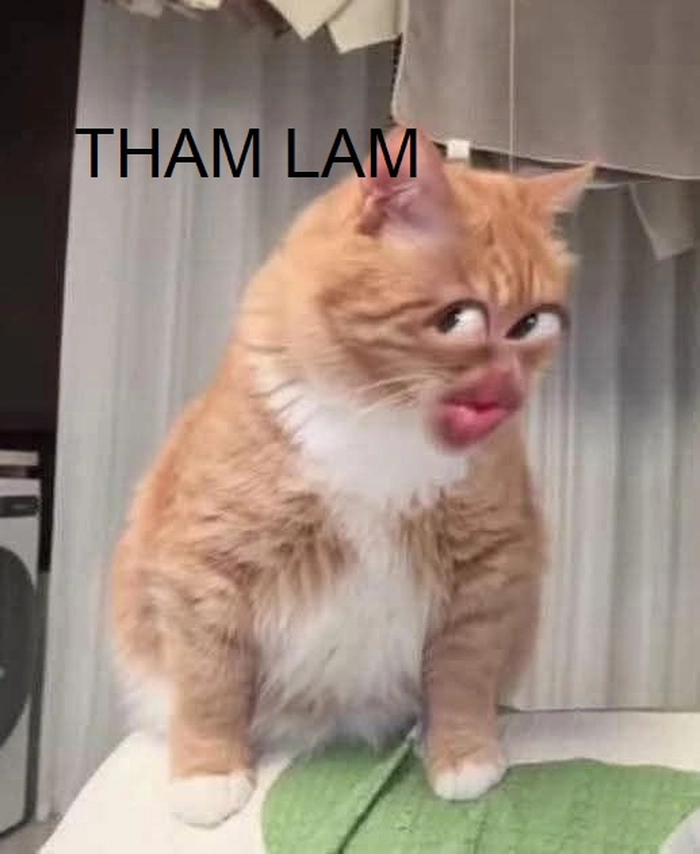 Meme tham lam ngu dốt chế troll