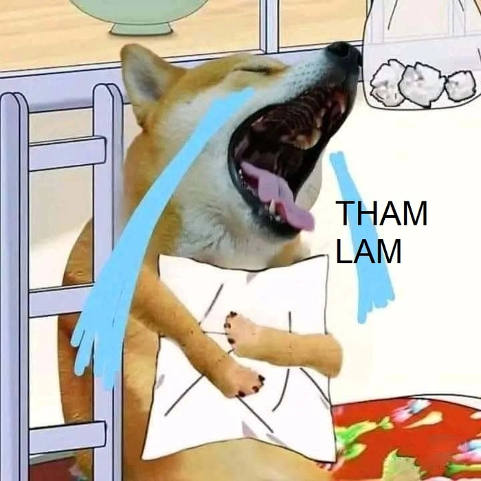 Meme tham lam troll bá đạo cực hài