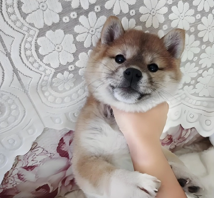 Meme thằng bé bị bóp cổ vui nhộn