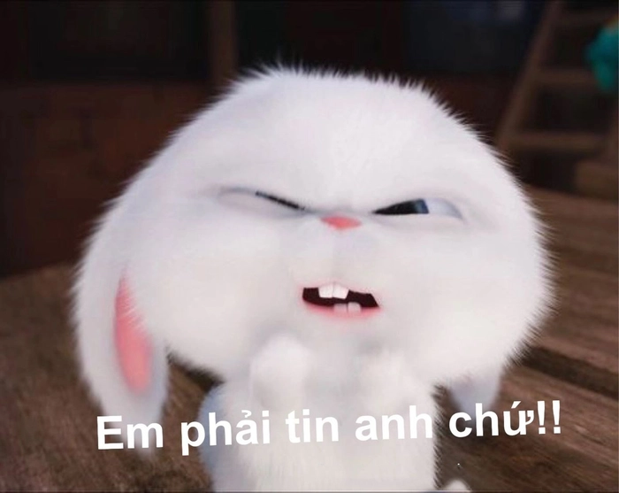 Meme thỏ Snowball chế bá đạo