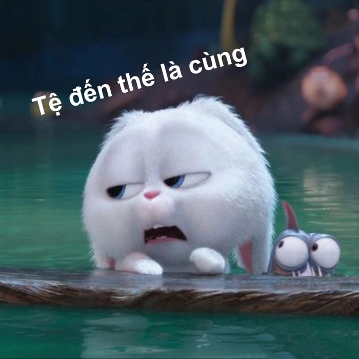 Meme thỏ Snowball chế hài