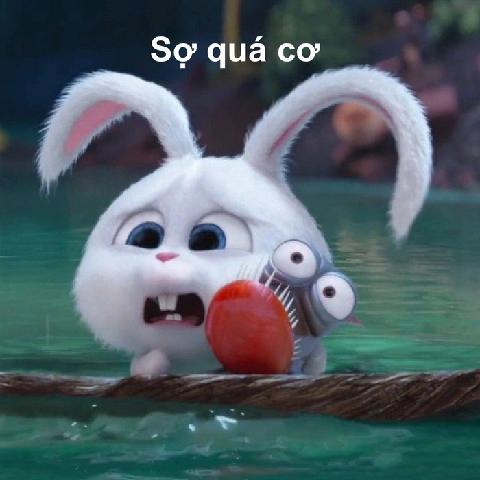Meme thỏ Snowball cực vui
