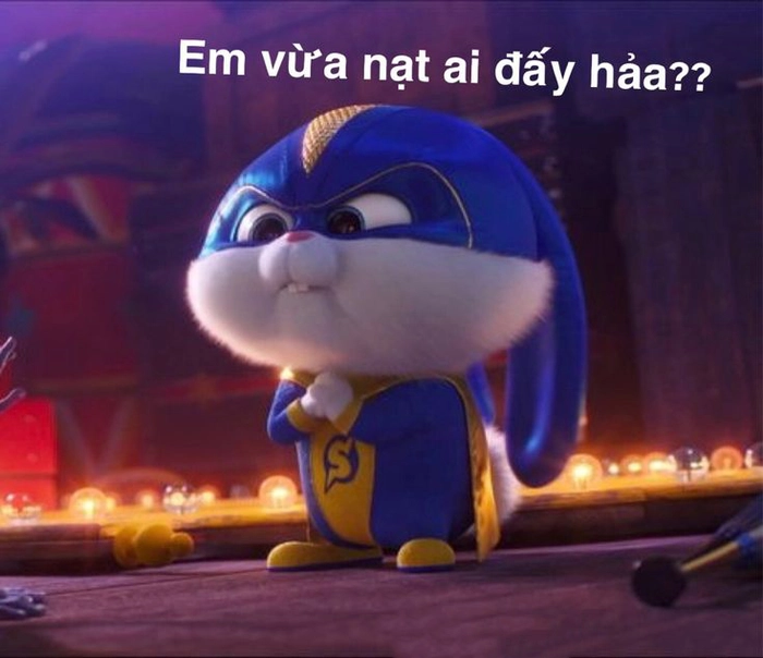Meme thỏ Snowball cười xỉu