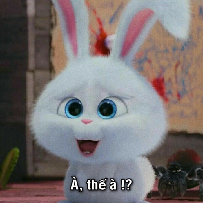 Meme thỏ Snowball hài hước