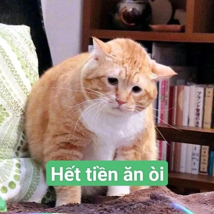 Meme tiền đâu bá đạo cực vui