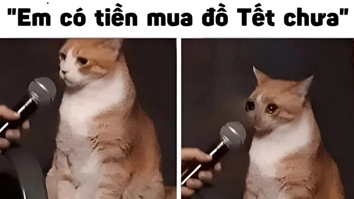 Meme tiền đâu nổi mạng xã hội