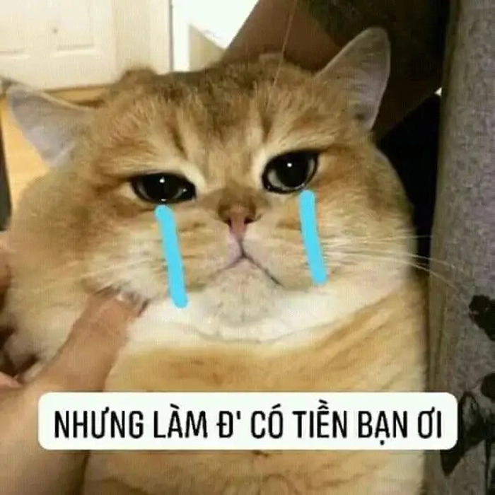 Meme ví hết tiền bá đạo hài hước
