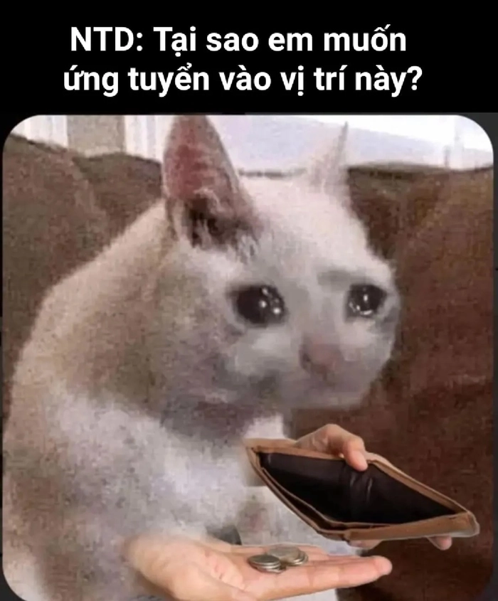 Meme ví hết tiền hot trend cười xỉu