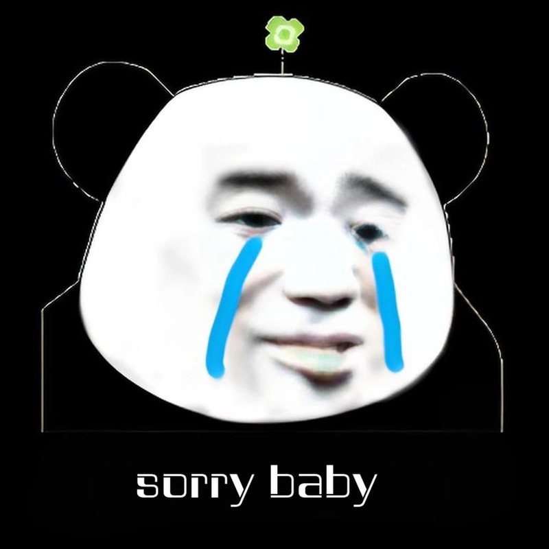Meme xin lỗi gấu trúc vui nhộn
