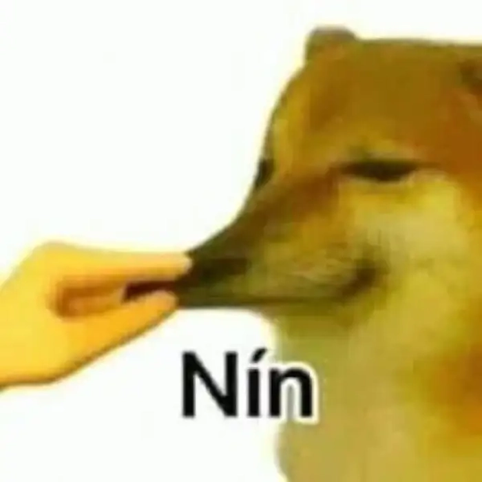 Nín meme lầy lội ngộ nghĩnh