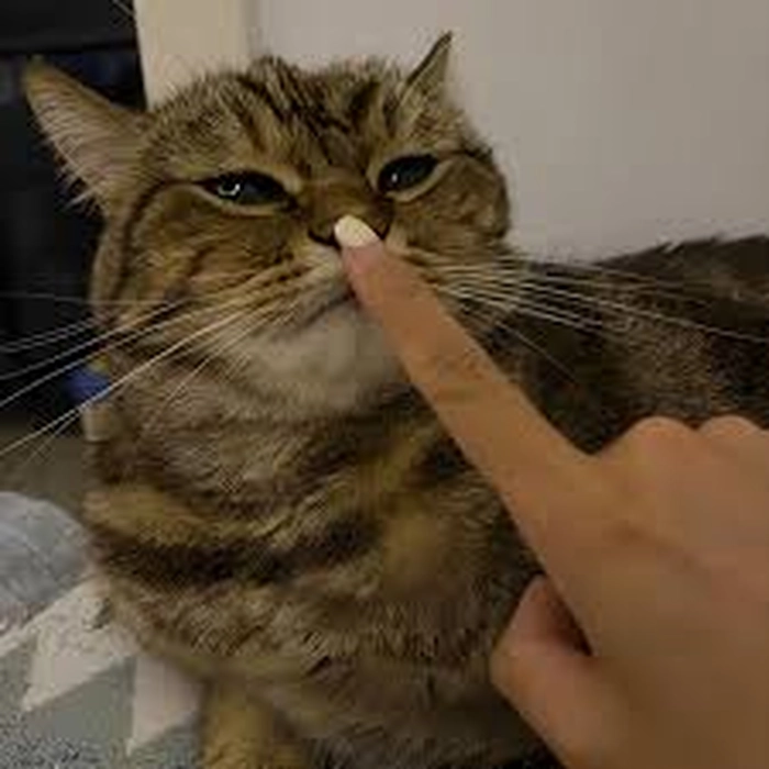 Nín meme reaction độc đáo