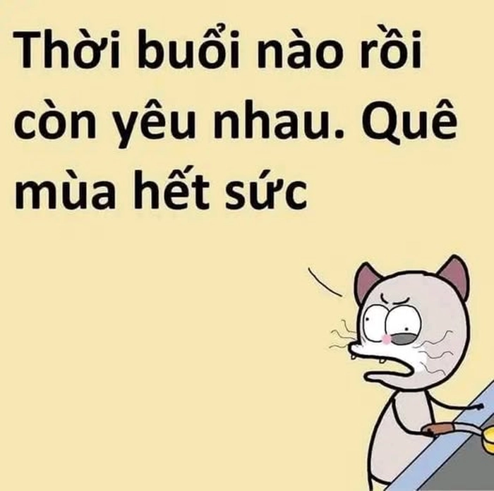 Quê meme hài hước bá đạo