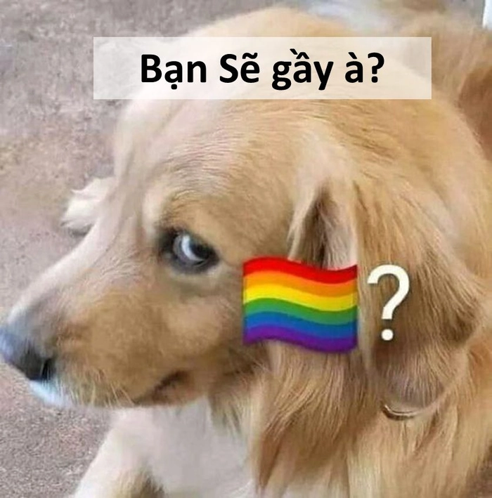 Sẽ gầy meme chế cực kỳ lầy lội