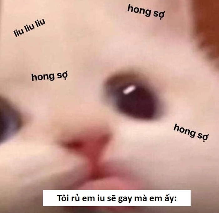 Sẽ gầy meme con gái hài bựa