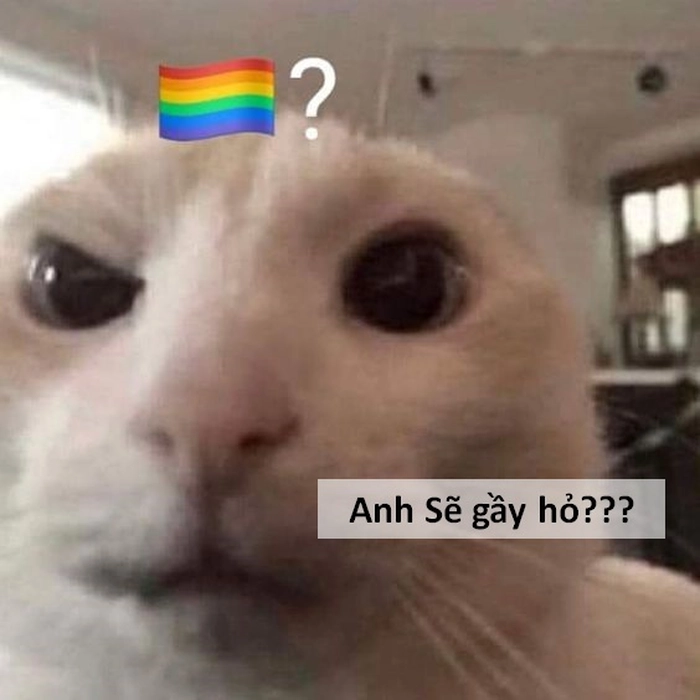Sẽ gầy meme troll cực vui nhộn