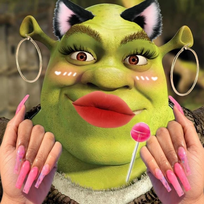 Shrek meme hài hước bá đạo