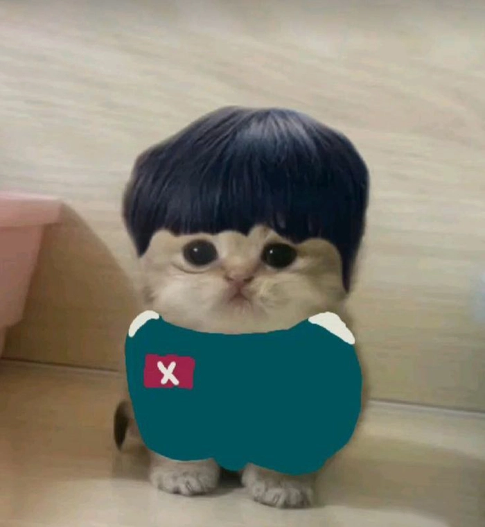 Squid Game meme được yêu thích