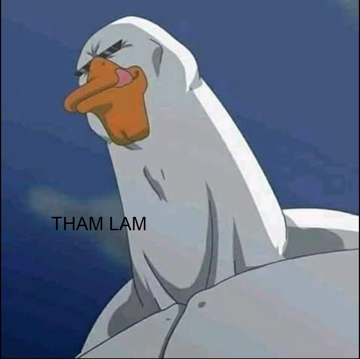 Tham lam ngu dốt meme troll cười