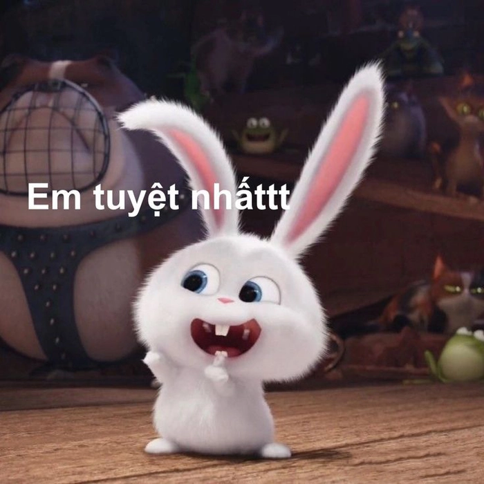 Thỏ Snowball cute đáng yêu