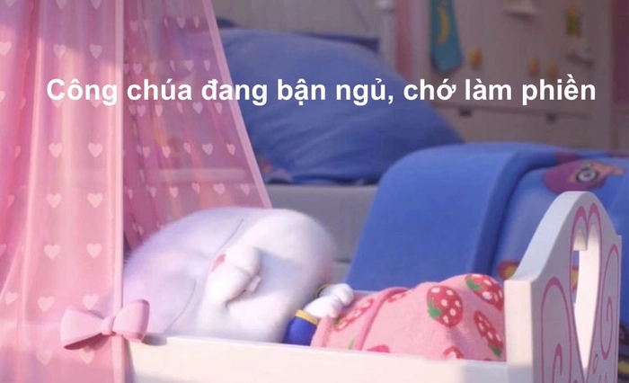 Thỏ Snowball cute tinh nghịch