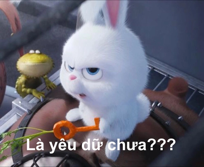 Thỏ Snowball meme bá đạo