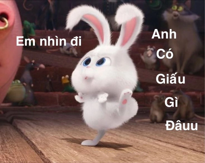 Thỏ Snowball meme troll hài