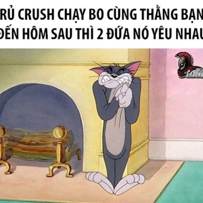 Tổng hợp meme mèo đau ở đây này