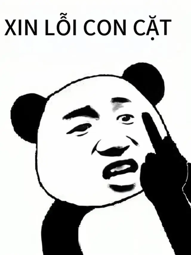 Cười xỉu với 245+ meme gấu trúc xin lỗi hài khó đỡ nhất